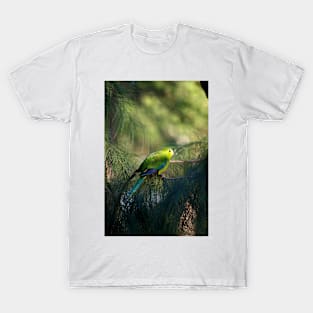 Orange Bellied Parrot T-Shirt